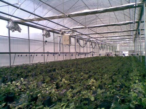 無(wú)土栽培，無(wú)土栽培技術(shù)，無(wú)土栽培設(shè)備