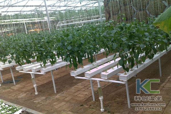 無土栽培，無土栽培技術，無土栽培設備