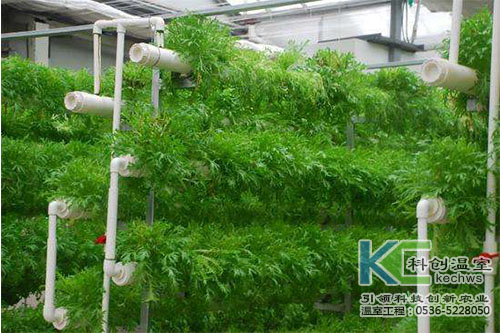 無土栽培，無土栽培技術，無土栽培設備