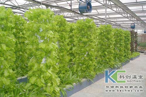 無土栽培，無土栽培技術，無土栽培設備