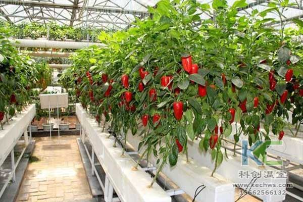 無土栽培，無土栽培技術