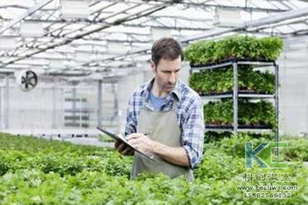 無土栽培，無土栽培技術，無土栽培設備