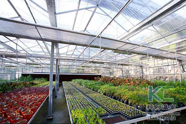無(wú)土栽培，無(wú)土栽培技術(shù)，無(wú)土栽培設(shè)備