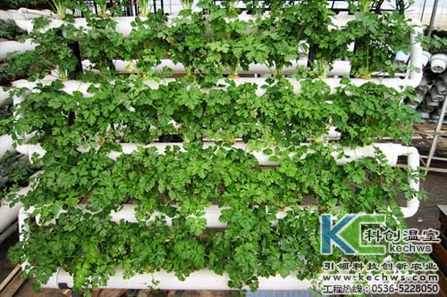 無(wú)土栽培，無(wú)土栽培技術(shù)，無(wú)土栽培設(shè)備