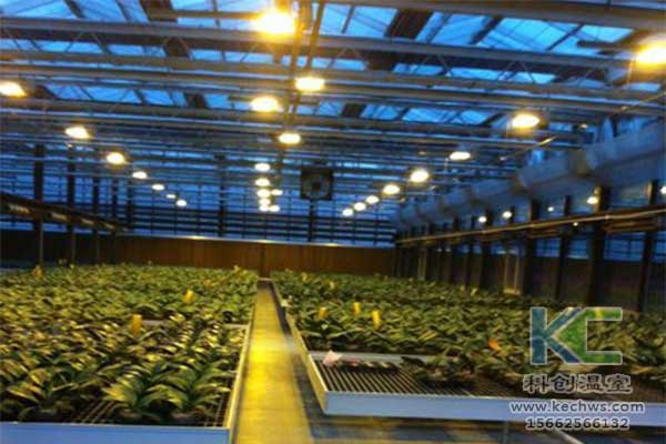 無土栽培，無土栽培技術，無土栽培設備