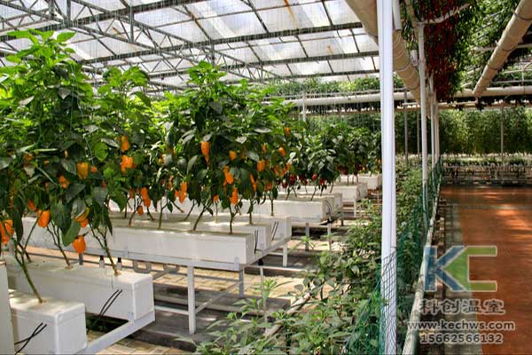 無土栽培，無土栽培技術