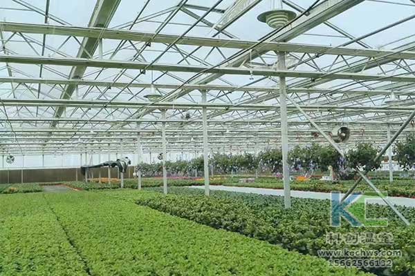 無(wú)土栽培，無(wú)土栽培技術(shù)，無(wú)土栽培設(shè)備