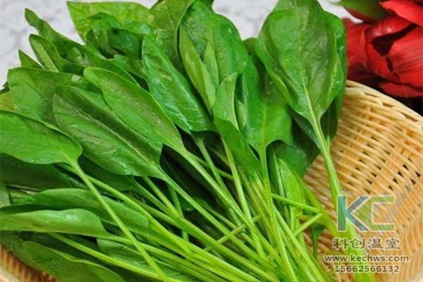 無土栽培、無土栽培基質