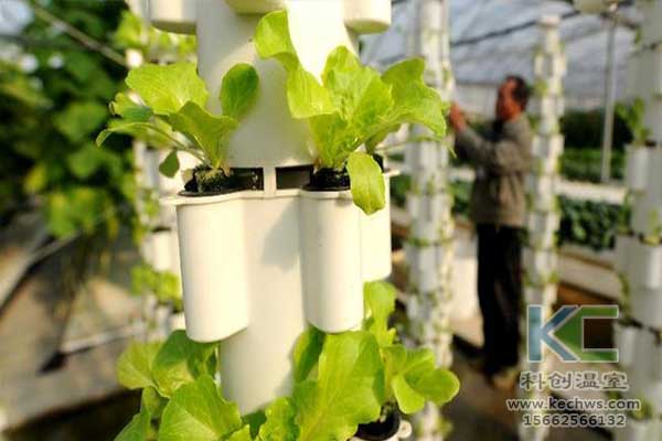 無土栽培，無土栽培技術，無土栽培設備