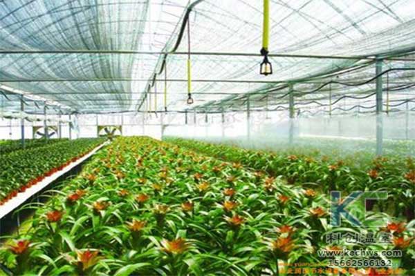 無土栽培，無土栽培技術，無土栽培設備