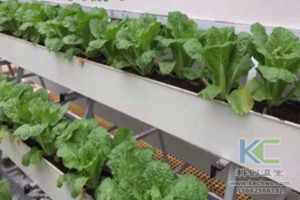 無土栽培，無土栽培技術(shù)