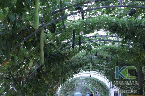 無土栽培，無土栽培技術(shù)，無土栽培設備