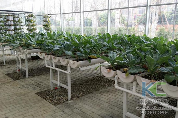 無土栽培，無土栽培技術(shù)，無土栽培設(shè)備