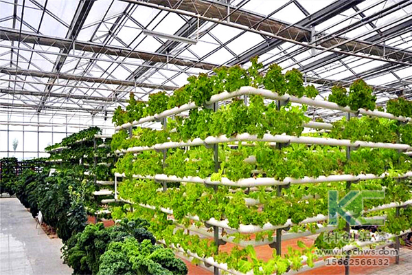 無(wú)土栽培,無(wú)土栽培技術(shù),無(wú)土栽培設(shè)備