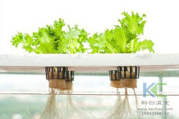 無土栽培技術，無土栽培設備，無土栽培，溫室大棚