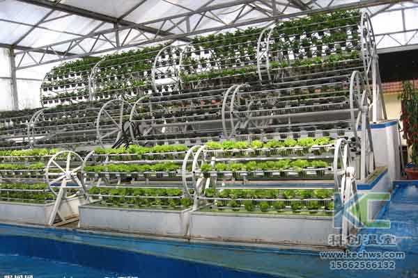 無土栽培技術(shù)，溫室大棚造價(jià)，蔬菜大棚，無土栽培