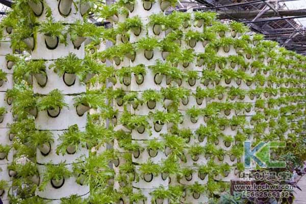 無土栽培，設備，無土栽培設備，無土栽培技術