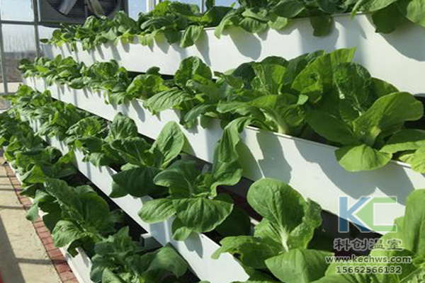 蔬菜無土栽培，無土栽培技術，無土栽培設備，無土栽培