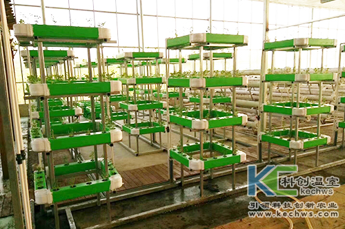 無土栽培,基質栽培,水培