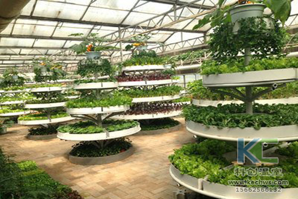 蔬菜無土栽培，無土栽培技術(shù)，無土栽培設(shè)備，無土栽培
