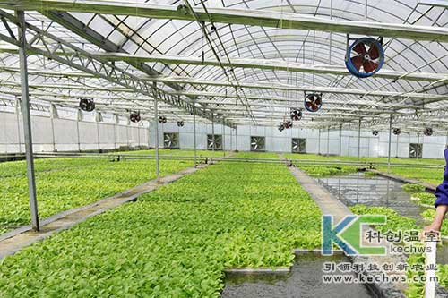 無土栽培，無土栽培技術(shù)，無土栽培設(shè)備