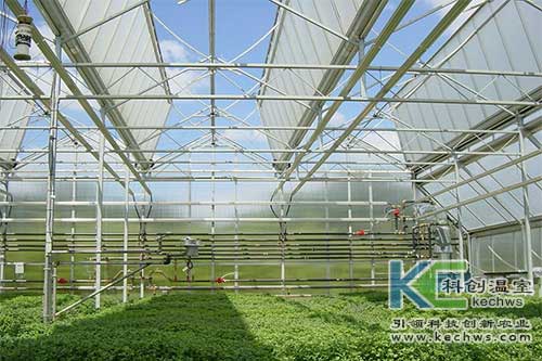 無土栽培，無土栽培技術(shù)，無土栽培設(shè)備