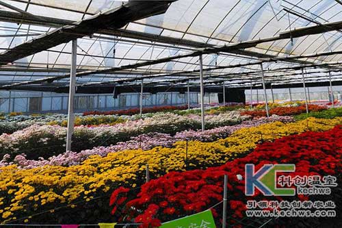 無土栽培，無土栽培技術，無土栽培設備