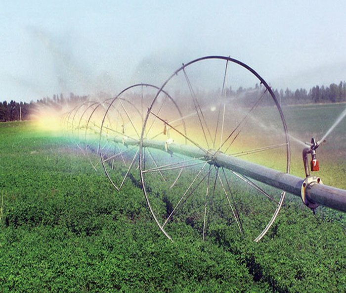 無土栽培，無土栽培技術，無土栽培設備