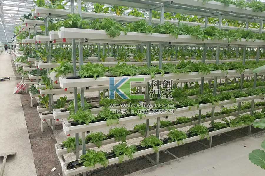 無(wú)土栽培，無(wú)土栽培技術(shù)，無(wú)土栽培設(shè)備