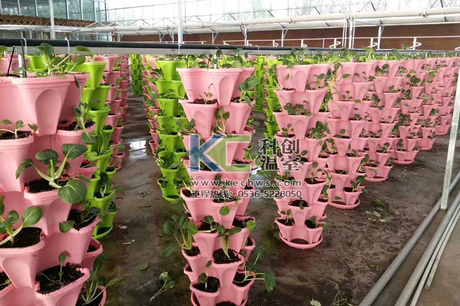 無土栽培,無土栽培技術(shù),無土栽培設(shè)備