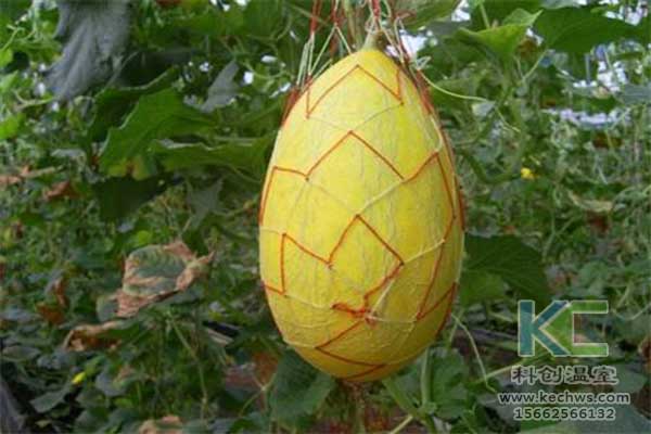 無土栽培，無土栽培技術，無土栽培設備