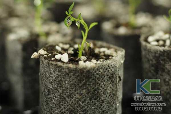 無土栽培，無土栽培技術，無土栽培設備