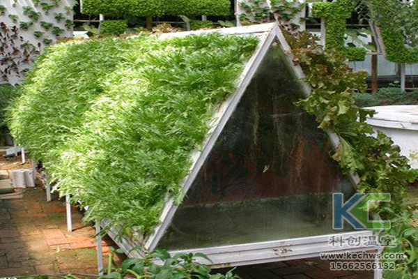 無土栽培，無土栽培技術(shù)，無土栽培設(shè)備