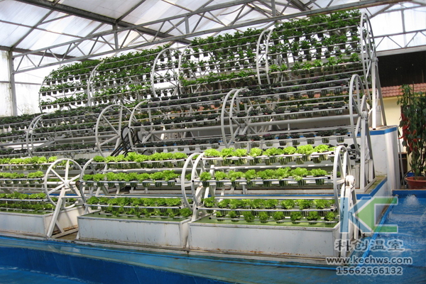 無土栽培，設備，無土栽培設備，設施
