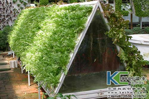 無(wú)土栽培，無(wú)土栽培技術(shù)，無(wú)土栽培設(shè)備