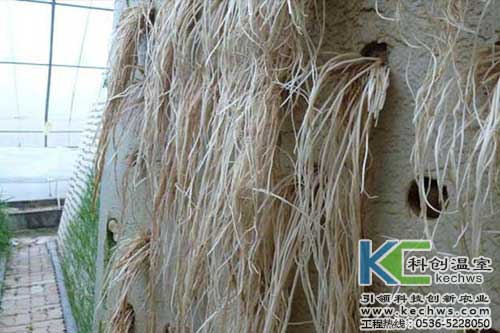 無土栽培，無土栽培技術，無土栽培設備