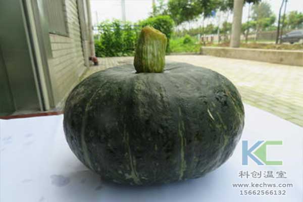 無土栽培，無土栽培技術(shù)，無土栽培設(shè)備