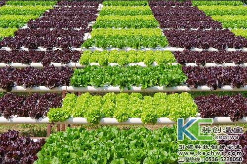 無(wú)土栽培，無(wú)土栽培技術(shù)，無(wú)土栽培設(shè)備