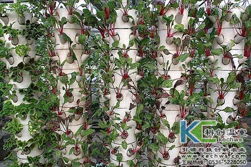 無土栽培，無土栽培技術，無土栽培設備