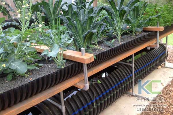 無土栽培，無土栽培技術(shù)，無土栽培設(shè)備