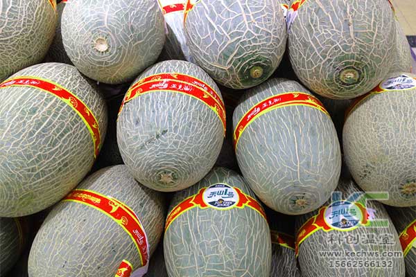 無土栽培，無土栽培技術，無土栽培設備