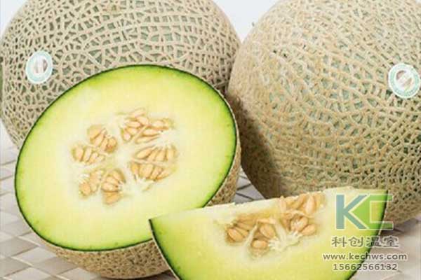 無土栽培，無土栽培技術，無土栽培設備