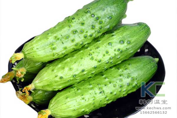 無土栽培，無土栽培技術(shù)，無土栽培設(shè)備