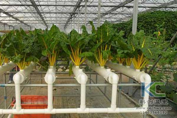 無土栽培，無土栽培技術，無土栽培設備
