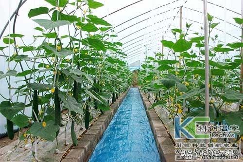 無(wú)土栽培，無(wú)土栽培技術(shù)，無(wú)土栽培設(shè)備