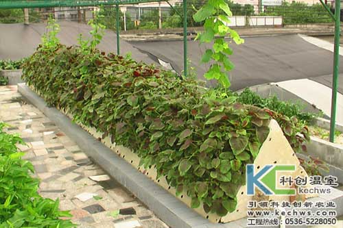 無土栽培，無土栽培技術(shù)，無土栽培設備