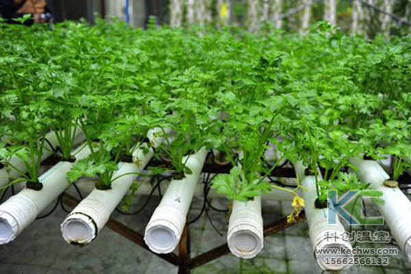 無土栽培，無土栽培技術，無土栽培設備