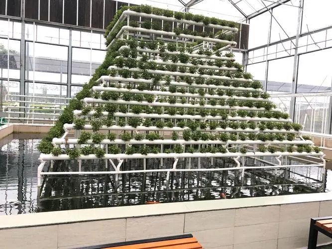 無土栽培，無土栽培技術，無土栽培設備