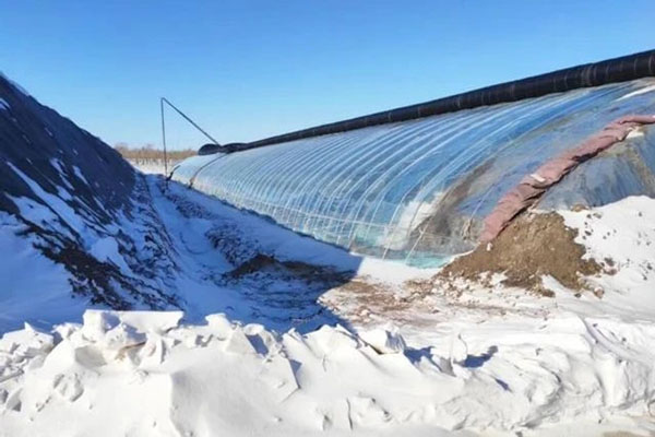 無(wú)土栽培，無(wú)土栽培技術(shù)，無(wú)土栽培設(shè)備