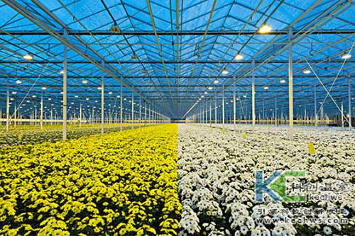 無土栽培，無土栽培技術，無土栽培設備